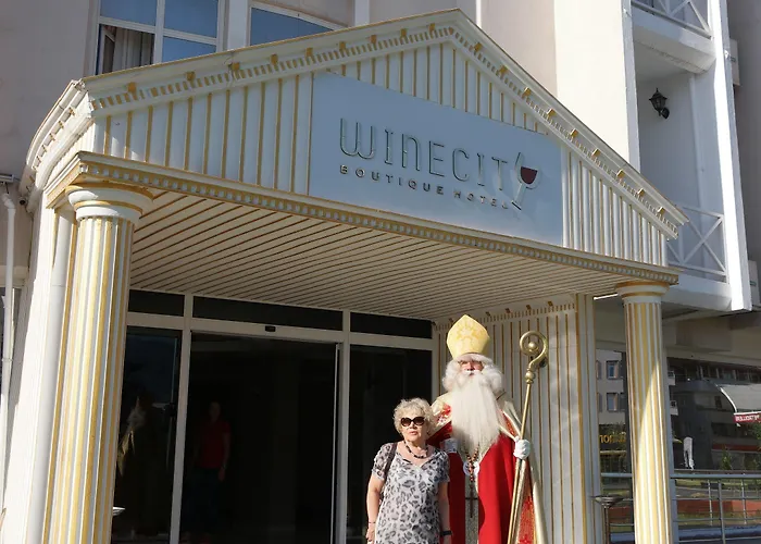 Winecity Otel 3*